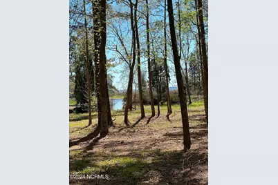 115 Waterford Drive, Bath, NC 27808 - Photo 6