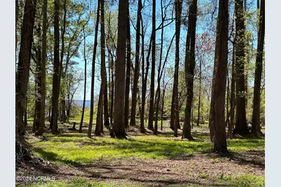 115 Waterford Drive, Bath, NC 27808 - Photo 2