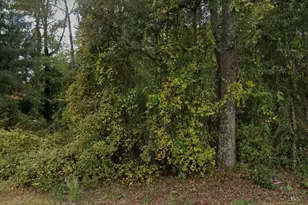 1179 Buck Swamp Rd, Pikeville, NC 27863 - Photo 1