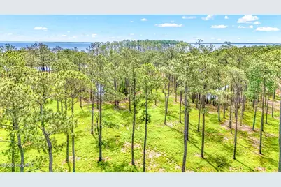 175 River Watch Road, Oriental, NC 28571 - Photo 4