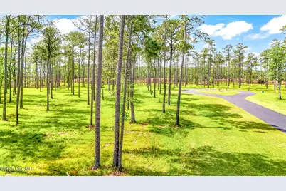 175 River Watch Road, Oriental, NC 28571 - Photo 24