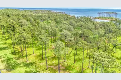 175 River Watch Road, Oriental, NC 28571 - Photo 20