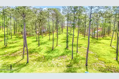 175 River Watch Road, Oriental, NC 28571 - Photo 18