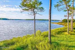 469 Ballast Point, Oriental, NC 28571 - Photo 1