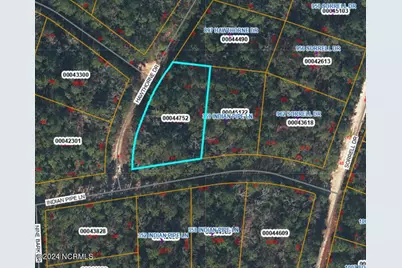 353 Indian Pipe Lane, Vass, NC 28394 - Photo 2