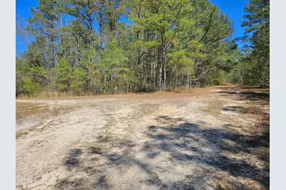 353 Indian Pipe Lane, Vass, NC 28394 - Photo 1