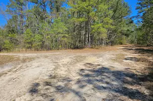 353 Indian Pipe Ln, Vass, NC 28394 - Photo 1