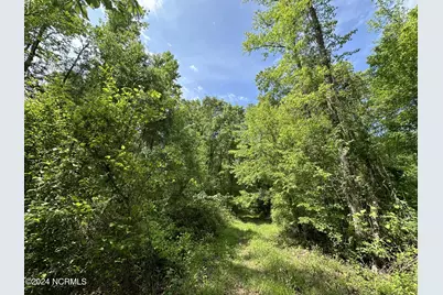 N11 0 1 Sr 1004, Turkey, NC 28393 - Photo 20