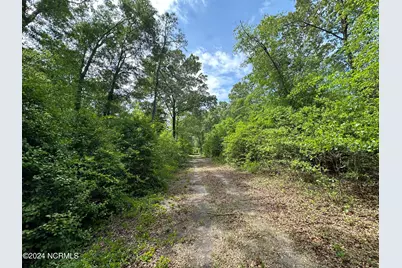 N11 0 1 Sr 1004, Turkey, NC 28393 - Photo 16