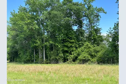 0 Needmore Road, Turkey, NC 28393 - Photo 8