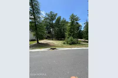 3709 Barnesmore Drive, Castle Hayne, NC 28429 - Photo 1