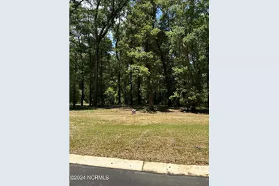 409 Old Forest Drive, Castle Hayne, NC 28429 - Photo 1