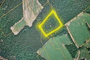 0 CC Rd, Garland, NC 28441 - Photo 1