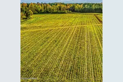 146 Cherry Street, Cerro Gordo, NC 28430 - Photo 8
