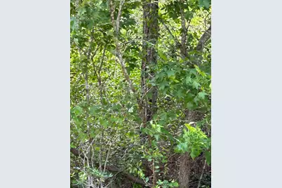 1773 Beech Road, Southport, NC 28461 - Photo 1