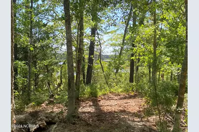 281 Winding Creek Drive, Oriental, NC 28571 - Photo 8