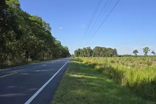 0 US-17, Chocowinity, NC 27817 - Photo 1