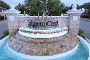 1208 Palatka Pl SE, Bolivia, NC 28422 - Photo 34
