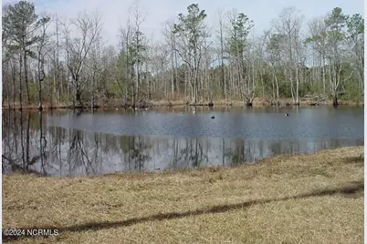 Lot #1 Harts Lane, Rocky Point, NC 28457 - Photo 2