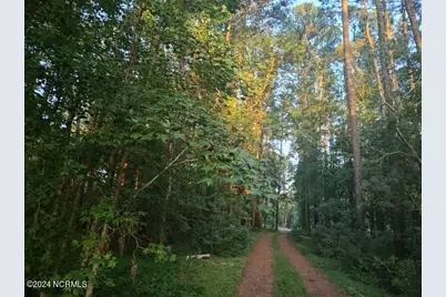 33 Mixon Creek Drive, Bath, NC 27808 - Photo 6