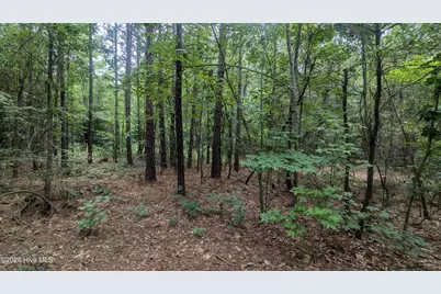 Tbd Line Road, Cameron, NC 28326 - Photo 4