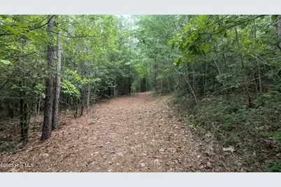 Tbd Line Road, Cameron, NC 28326 - Photo 6