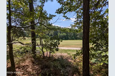 445 Thimbleberry Drive, Vass, NC 28394 - Photo 4