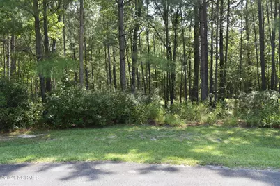 3 Alexander Drive, Belhaven, NC 27810 - Photo 16