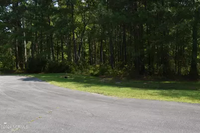 3 Alexander Drive, Belhaven, NC 27810 - Photo 8