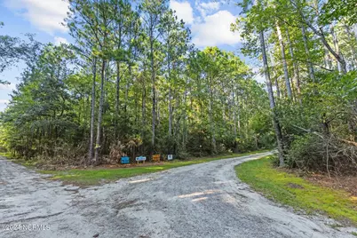 280 Donnie Davis Road, Williston, NC 28589 - Photo 6