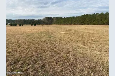 0 Hwy 33, Chocowinity, NC 27837 - Photo 6