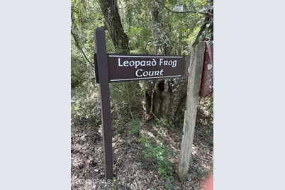 6 Leopard Frog Court, Bald Head Island, NC 28461 - Photo 2