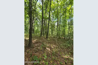 0 McNair Road, Plymouth, NC 27962 - Photo 14