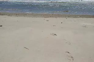 1914 Goose Creek Rd SW, Ocean Isle Beach, NC 28469 - Photo 34