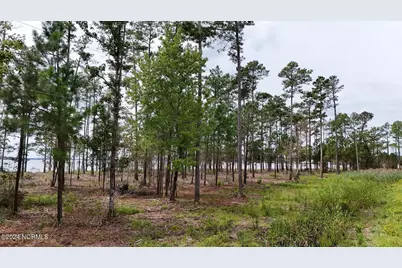 3572 Upper Neck Road, Bayboro, NC 28515 - Photo 8