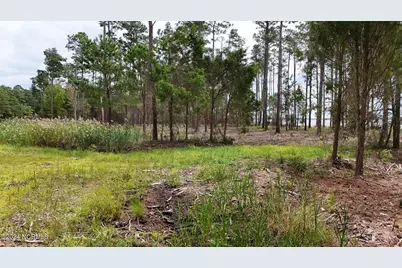 3572 Upper Neck Road, Bayboro, NC 28515 - Photo 6