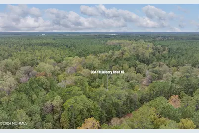 3347 Mt Misery Road NE, Leland, NC 28451 - Photo 2