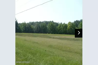0 Nicodemus Mile Road, Rocky Mount, NC 27804 - Photo 2
