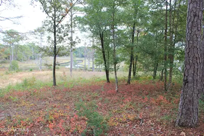 407 Salt Creek Road, Swansboro, NC 28584 - Photo 22
