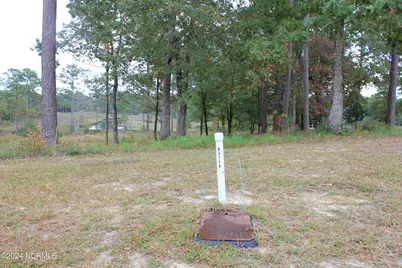 407 Salt Creek Road, Swansboro, NC 28584 - Photo 26