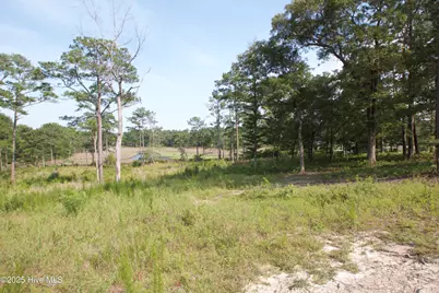 407 Salt Creek Road, Swansboro, NC 28584 - Photo 4