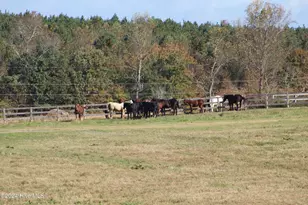 455 Hogan Farm Rd, Seagrove, NC 27341 - Photo 86