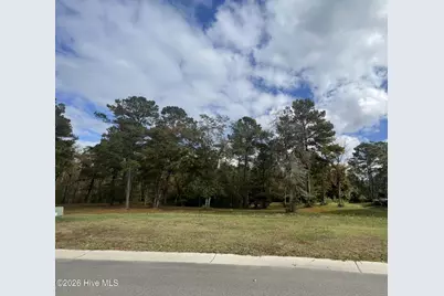 3828 Crab Catcher Loop NE, Leland, NC 28451 - Photo 2