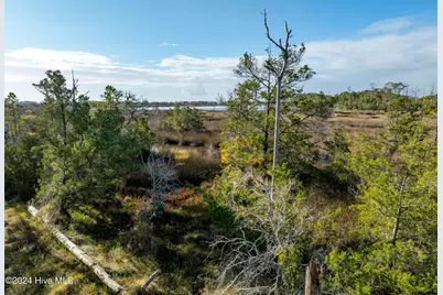 343 Landon Lane, Sneads Ferry, NC 28460 - Photo 12