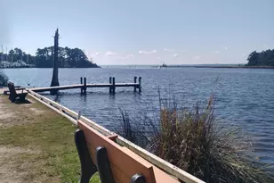206 Chateau Dr, New Bern, NC 28560 - Photo 54