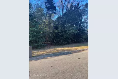 408 Lake Pines Drive, La Grange, NC 28551 - Photo 2