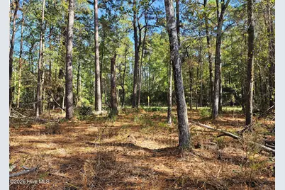0 Barnes Foster Loop Road, Belhaven, NC 27810 - Photo 10