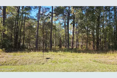 0 Barnes Foster Loop Road, Belhaven, NC 27810 - Photo 2