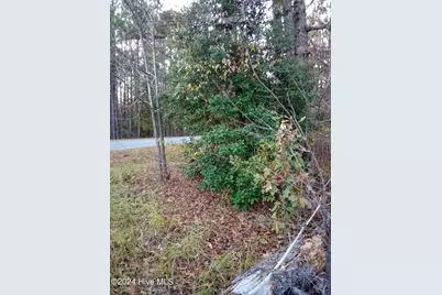 Lot #1 Stelleys Tabernacle Church Road, Rockingham, NC 28379 - Photo 2