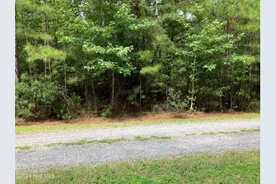 Lot 3 Kings Land Court, Gates, NC 27937 - Photo 2
